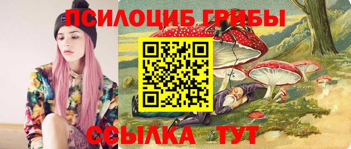 Галлюциногенные грибы прущие грибы  Псилоцибиновые грибы ЛСД  Саратов  Вход с VPN 
