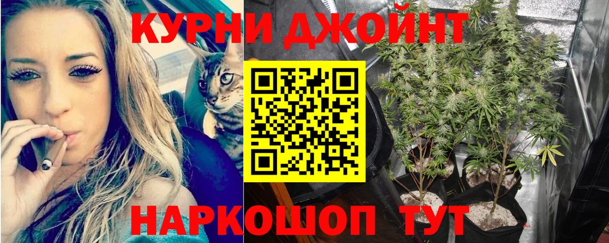 Каннабис конопля Саратов